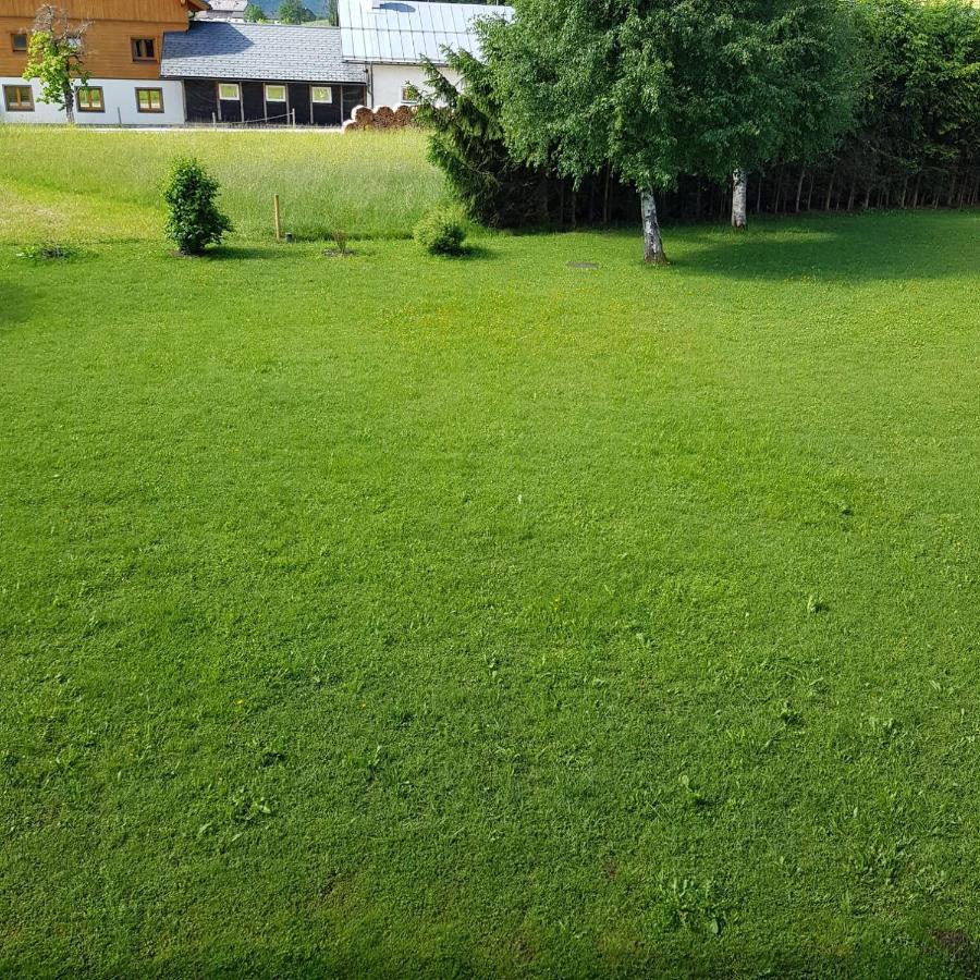 Apartment Dachsteinblick Bad Aussee Exterior foto